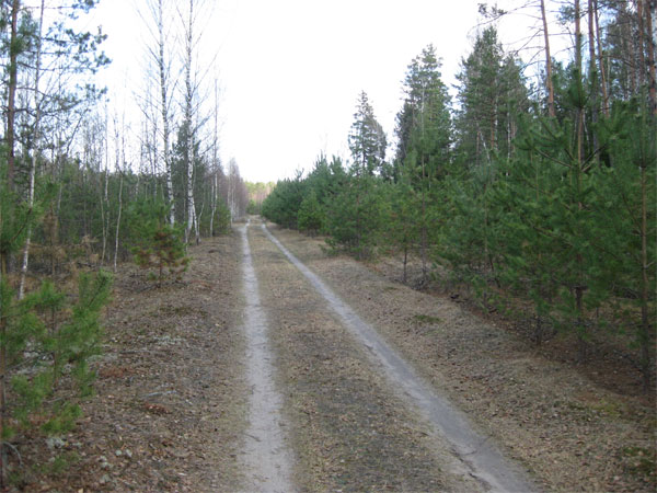 Мой отдых весной 2011 года