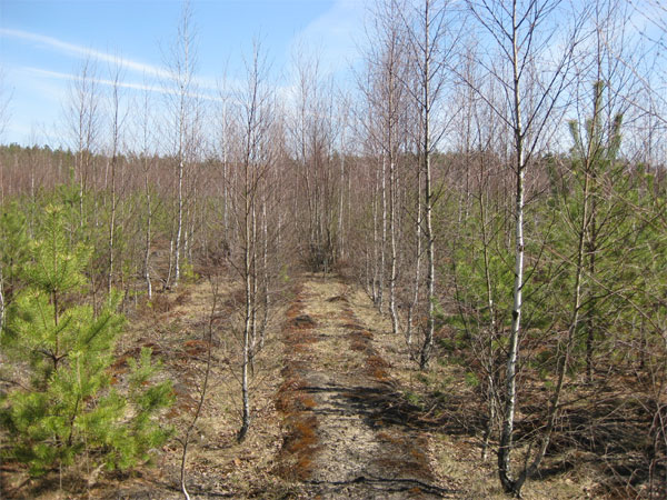 Мой отдых весной 2011 года