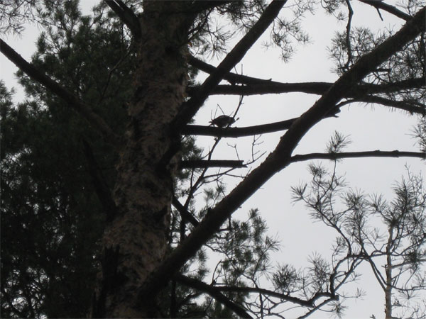 Мой отдых весной 2011 года