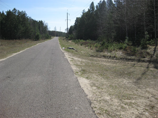 Мой отдых весной 2011 года