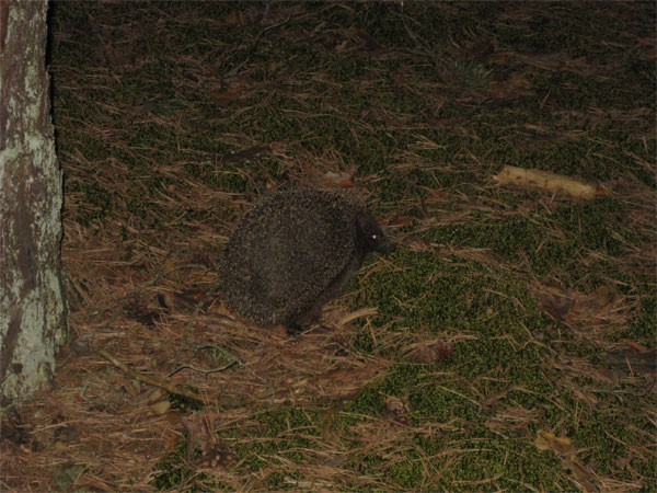 Мой отдых весной 2011 года