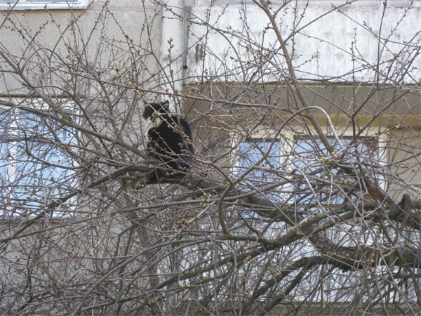 Мой отдых весной 2011 года