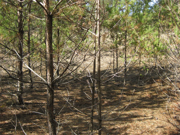 Мой отдых весной 2011 года