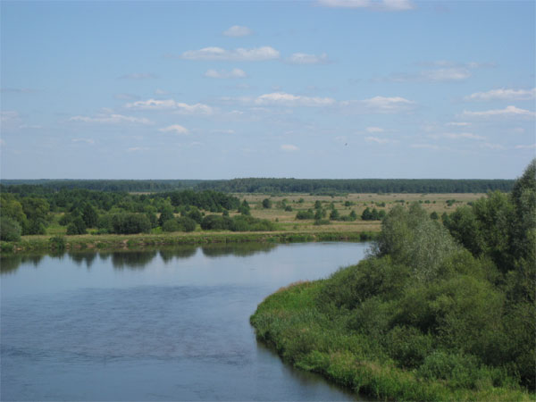 Отдых летом 2011 года