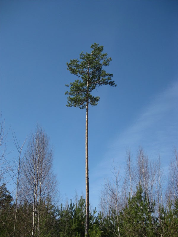 Мой отдых весной 2011 года