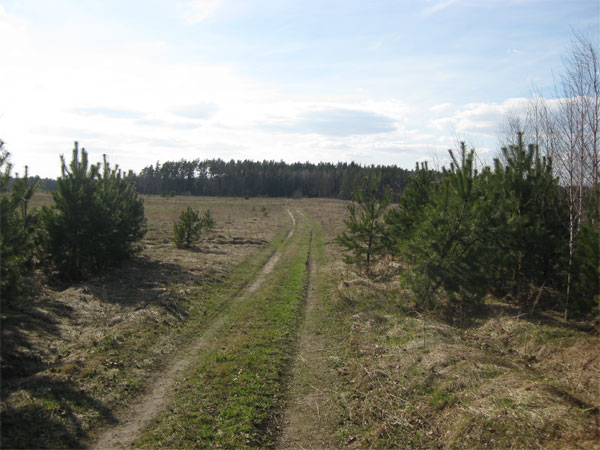 Мой отдых весной 2011 года