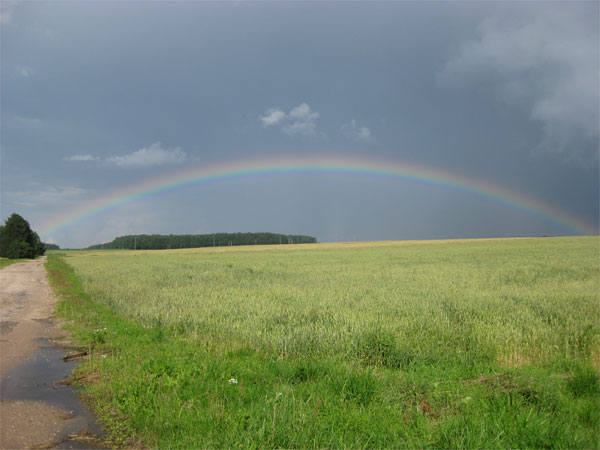 Отдых летом 2011 года