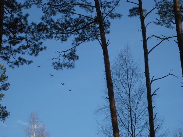 Мой отдых весной 2011 года