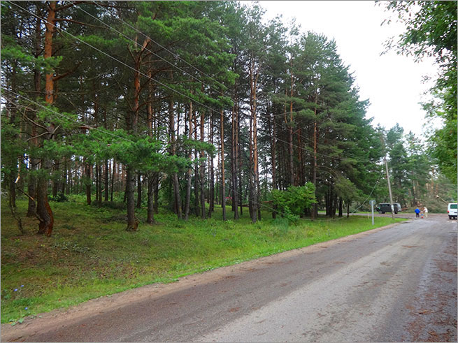 Дикий шторм в Гродно - 11 июля 2016 года.