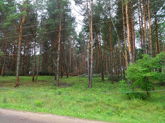 Дикий шторм в Гродно - 11 июля 2016 года.