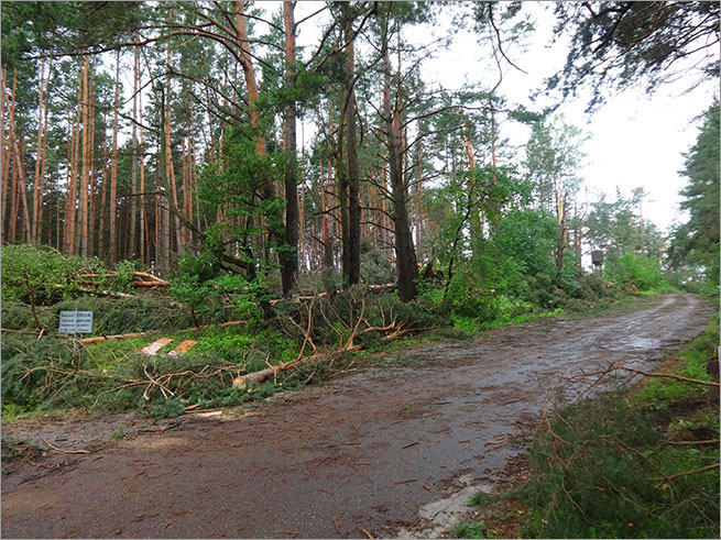 Дикий шторм в Гродно - 11 июля 2016 года.