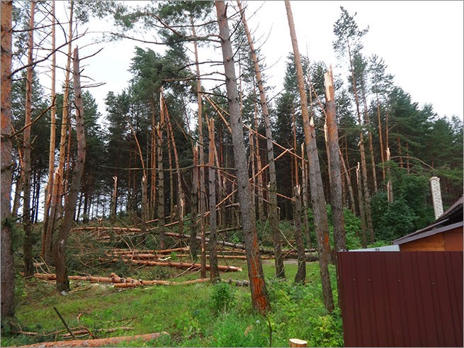 Дикий шторм в Гродно - 11 июля 2016 года.