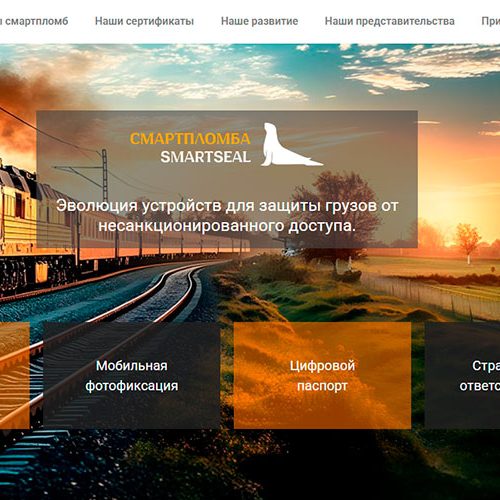 53 работа. Коммерческая анимация на сайте — Смартпломба