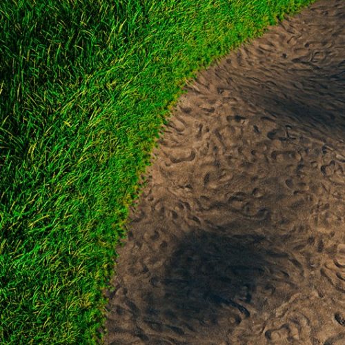 42 работа. Анимация роста травы в Blender